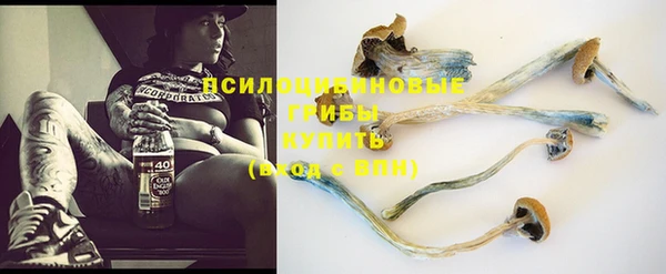 круглые Алзамай