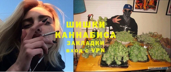 ГАЛЛЮЦИНОГЕННЫЕ ГРИБЫ Алексеевка