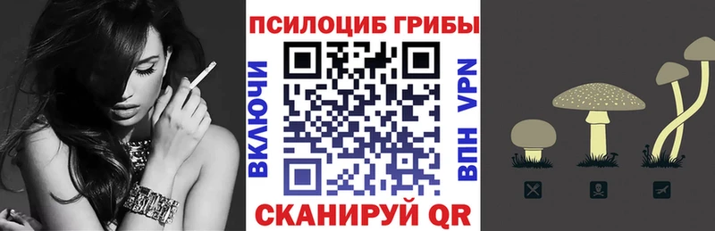как найти закладки  Шуя  Галлюциногенные грибы ЛСД 